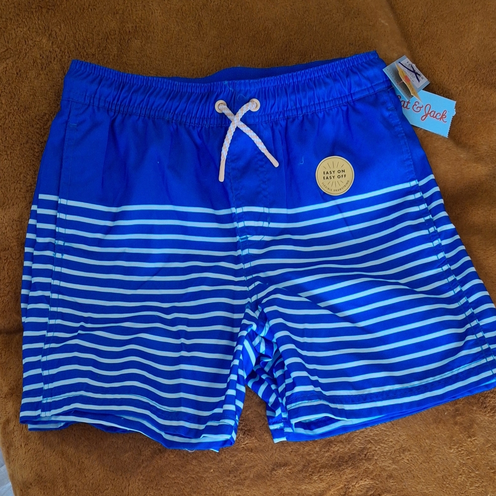 Blue Striped Swim Shorts